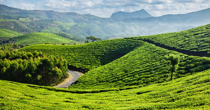 Munnar